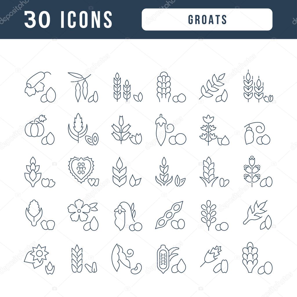 Groats. Collection of perfectly thin icons for web design, app, and the most modern projects. The kit of signs for category Food and Drink.