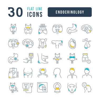 Endocrinology. Collection of perfectly thin icons for web design, app, and the most modern projects. The kit of signs for category Medicine.