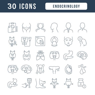 Endocrinology. Collection of perfectly thin icons for web design, app, and the most modern projects. The kit of signs for category Medicine.