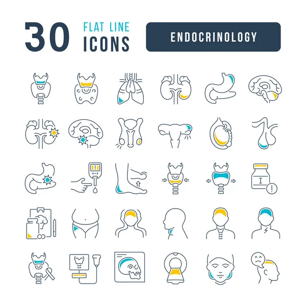 Endocrinology Collection Perfectly Thin Icons Web Design App Most Modern — Vettoriale Stock