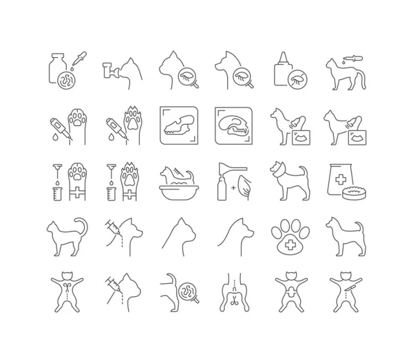 Veterinary Medicine Collection Perfectly Thin Icons Web Design App Most — Stockvector