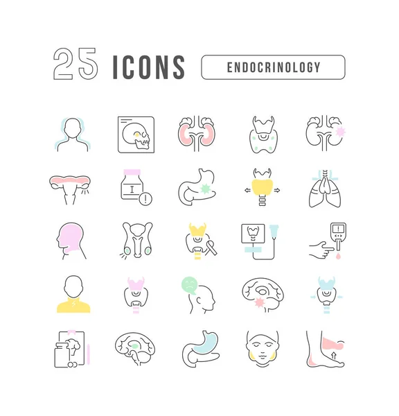 Endocrinology Collection Perfectly Thin Icons Web Design App Most Modern — Stock vektor