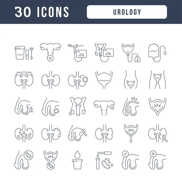 Urology Collection Perfectly Thin Icons Web Design App Most Modern — Vetor de Stock