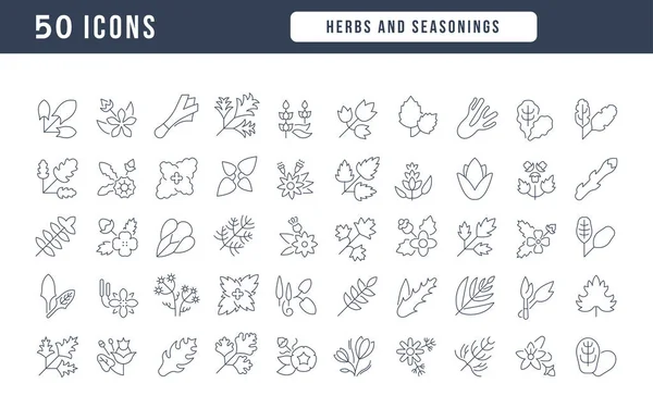 Herbs Seasonings Collection Perfectly Thin Icons Web Design App Most — Stock Vector