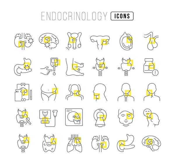 Endocrinology Collection Perfectly Thin Icons Web Design App Most Modern — Stockvector