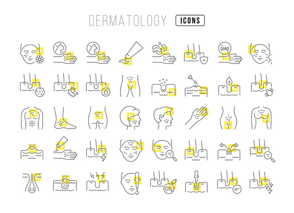 Dermatology Collection Perfectly Thin Icons Web Design App Most Modern — Archivo Imágenes Vectoriales