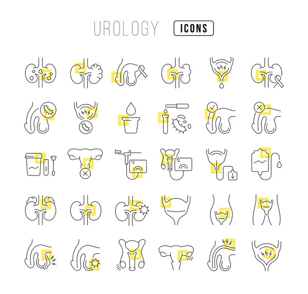 Urology Collection Perfectly Thin Icons Web Design App Most Modern — Wektor stockowy