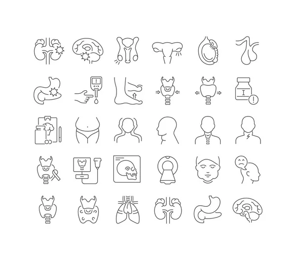 Endocrinology Collection Perfectly Thin Icons Web Design App Most Modern — Image vectorielle