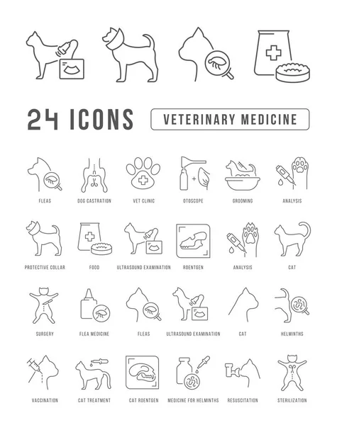 Veterinary Medicine Collection Perfectly Thin Icons Web Design App Most — Stockový vektor