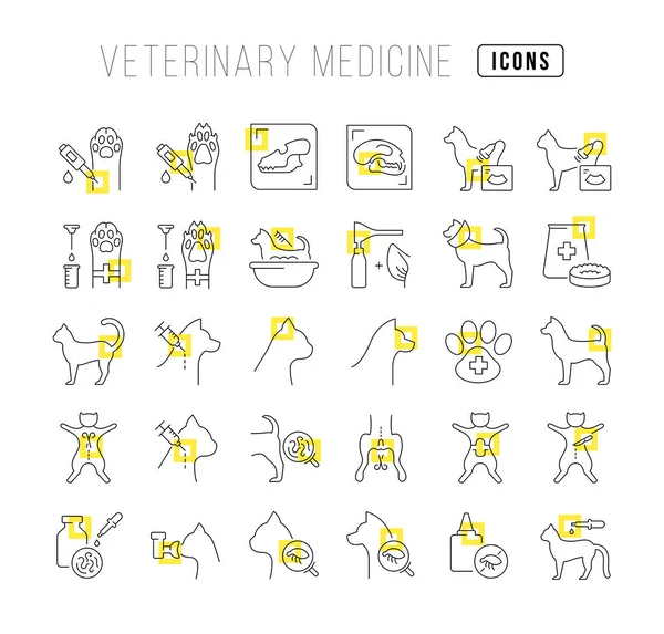 Veterinary Medicine Collection Perfectly Thin Icons Web Design App Most — Image vectorielle