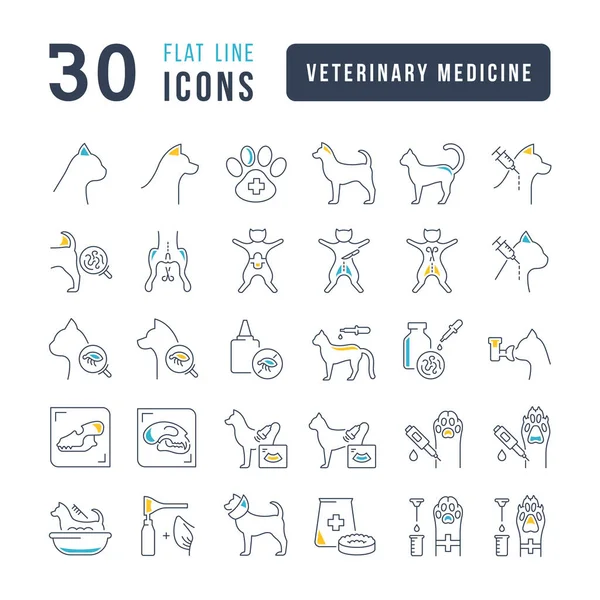 Veterinary Medicine Collection Perfectly Thin Icons Web Design App Most —  Vetores de Stock