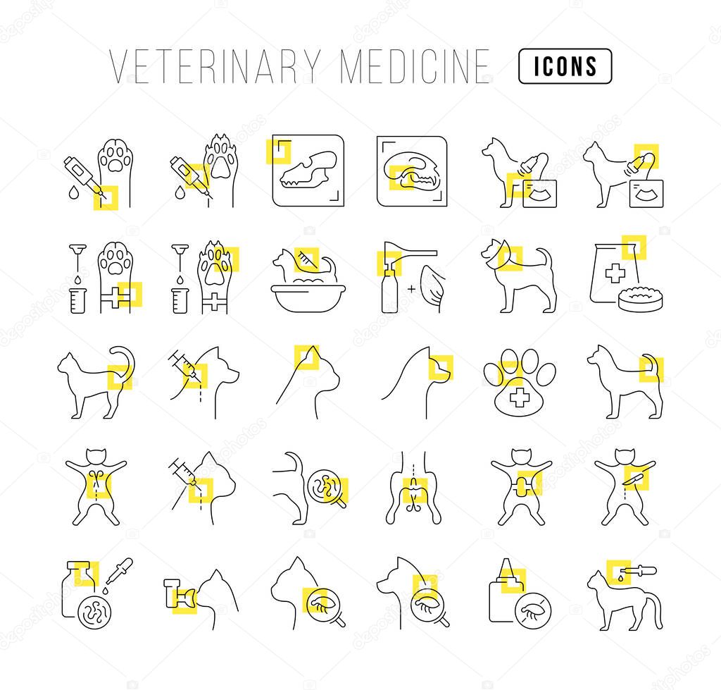 Veterinary Medicine. Collection of perfectly thin icons for web design, app, and the most modern projects. The kit of signs for category Medicine.
