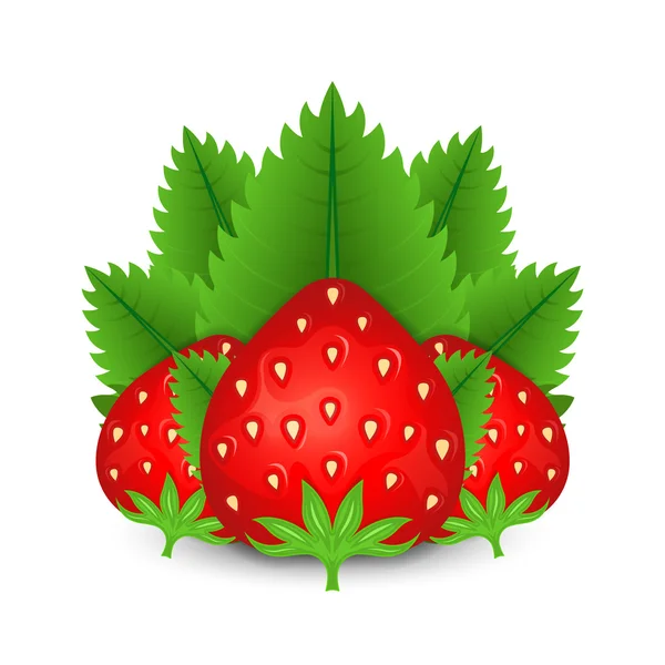 Vektor illustration av strawberry — Stock vektor