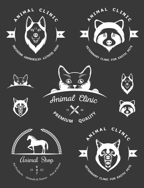 Exotic pet logos Vector Art Stock Images | Depositphotos
