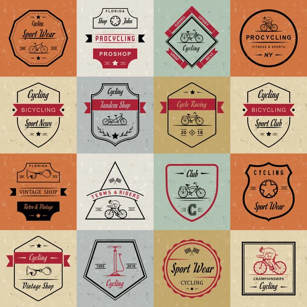 Set Vintage Ciclismo y bicicleta signo e insignias — Vector de stock