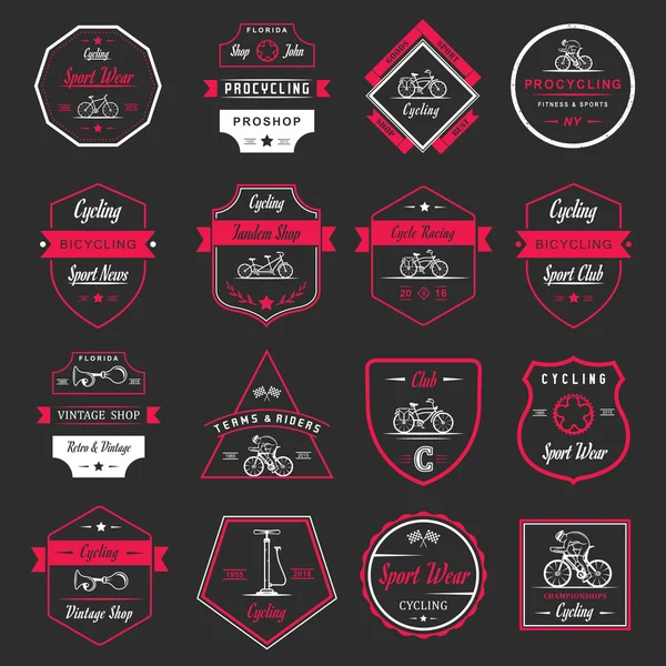 Set Vintage Ciclismo y bicicleta signo e insignias — Vector de stock