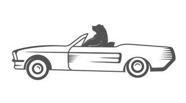 Vector Illustration Funny Bear