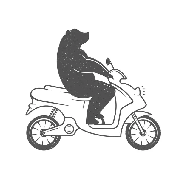 Vector Illustration Funny Bear — Stock vektor