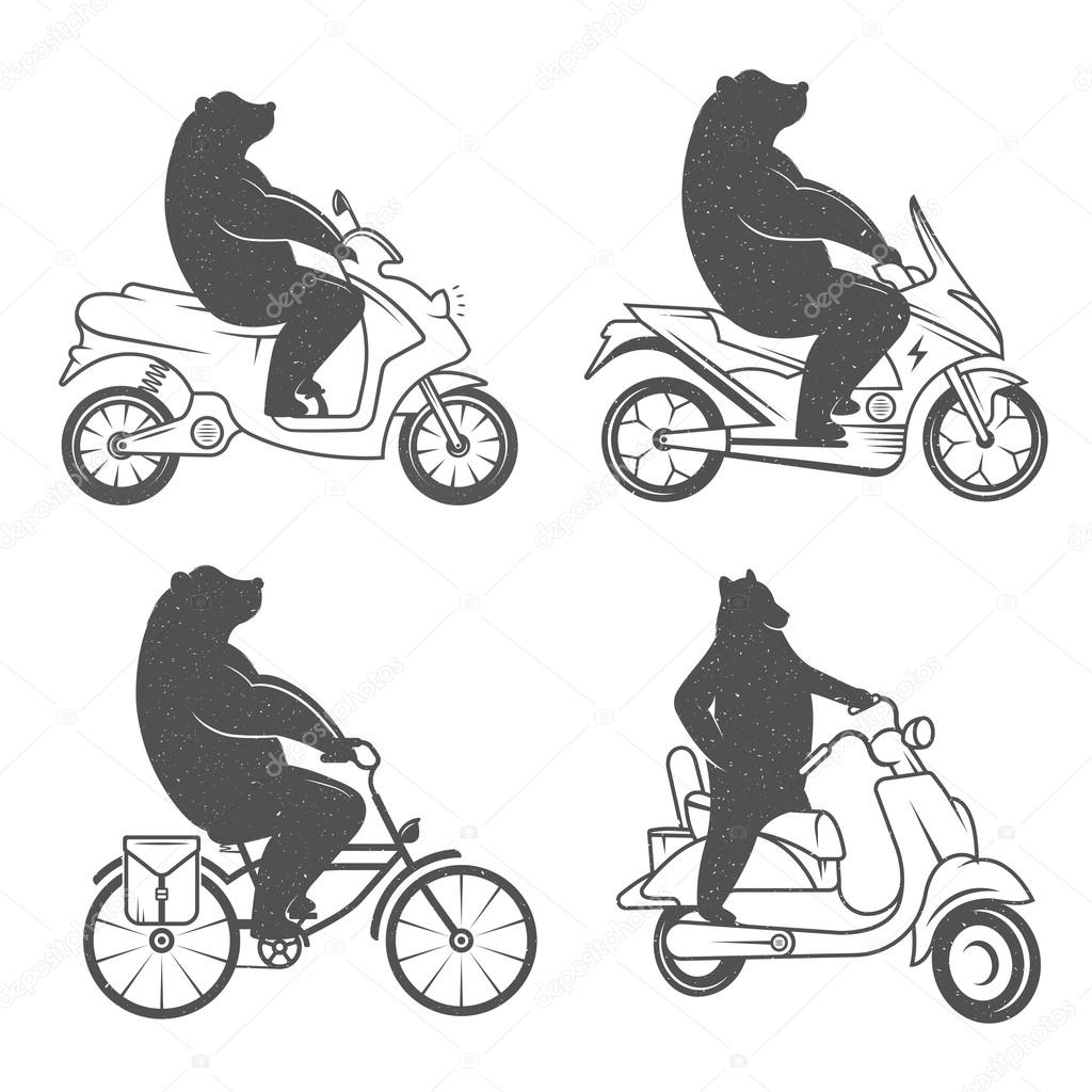 Vintage Illustration fun bear with grunge effect for posters and t-shirts. Funny bear on scooter on a white background