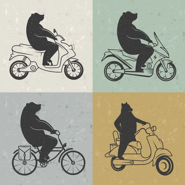 熊的老式插图 — 图库矢量图片