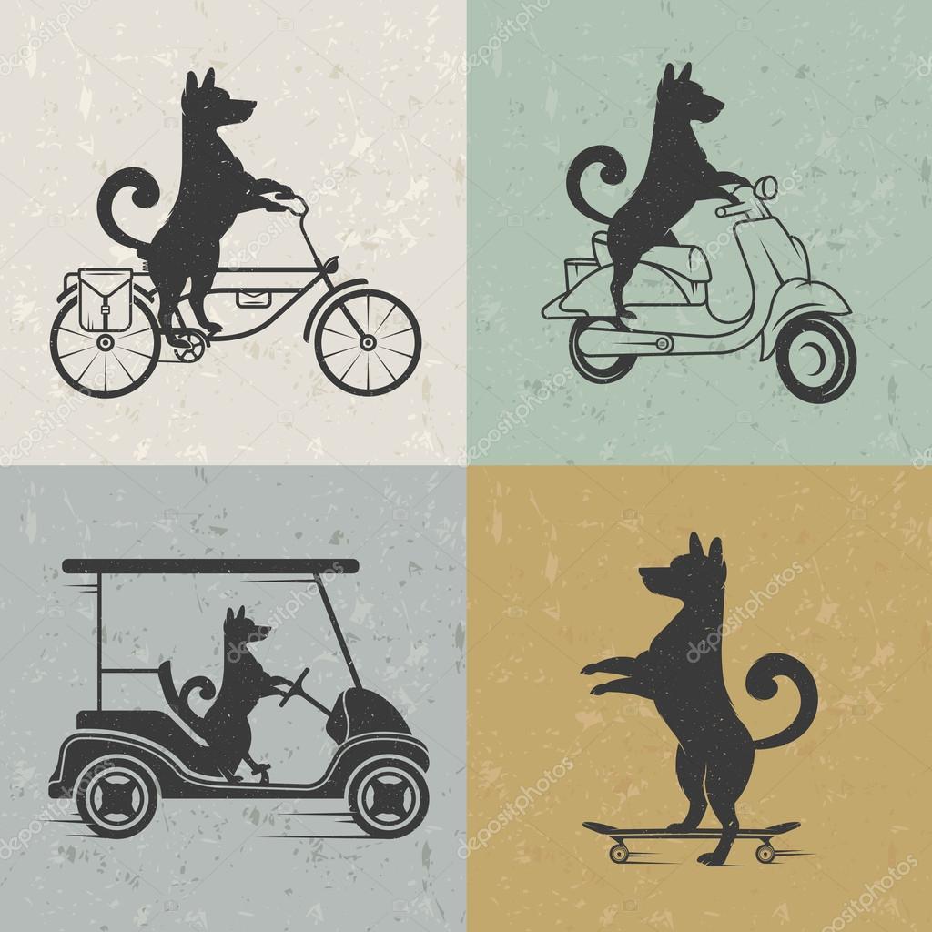 Vintage Illustration fun dog with grunge effect for posters and t-shirts. Funny dog on scooter, golf cart and skateboard
