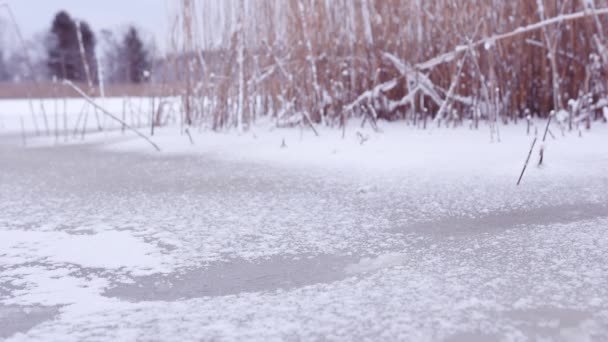 Pessoa Que Caminha Sobre Gelo Fraco Atravessa Gelo Mar Báltico — Vídeo de Stock