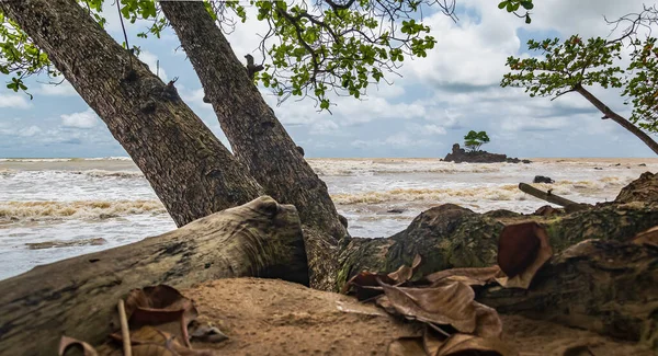 Αφρική Τοπίο Από Ζούγκλα Στη Θάλασσα Axim Γκάνα Δυτική Αφρική — Φωτογραφία Αρχείου