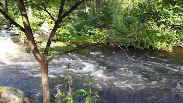 Alvkarleby Ríos Que Fluyen Que Son Conocidos Por Sus Peces — Vídeos de Stock