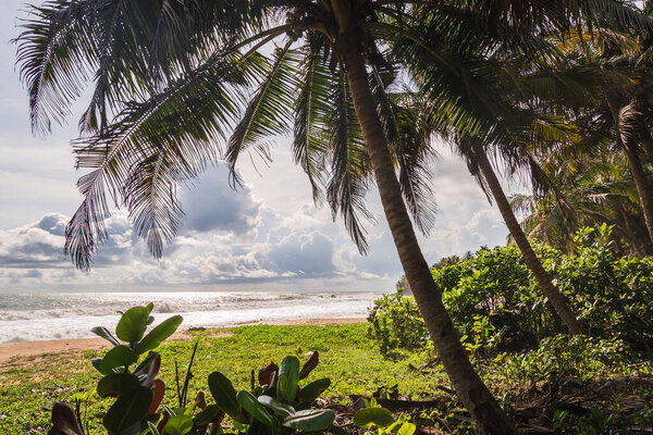 Sea views from the jungle in the tropical part of Axim Ghana West Africa