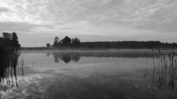 Tôt Matin Sur Une Baie Mer Baltique Suédoise Lorsque Mer — Video