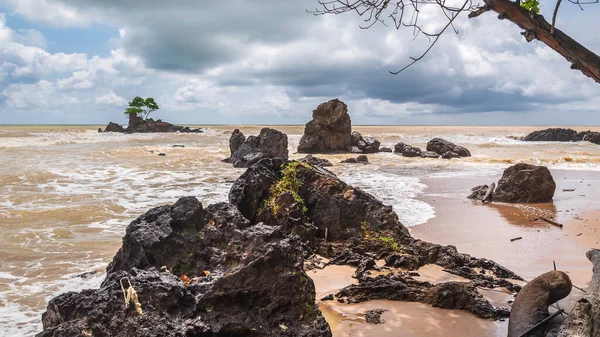 小さな石の島で成長する孤独な木とガーナの西アフリカ海の水によって形成された美しい岩とビーチとアクシムの美しい無人島の自然 — ストック写真