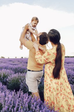 Anne ve baba, küçük oğullarıyla lavanta tarlasında oynuyorlar. Yaz günü.
