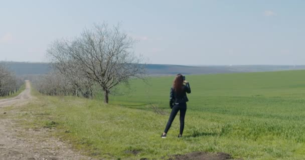 Rear view, young woman using smartphone to take photo of green rice paddy field — Αρχείο Βίντεο