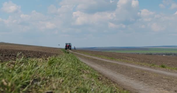 Moderní červený traktor na obzoru, na zemědělském poli a farmáři — Stock video