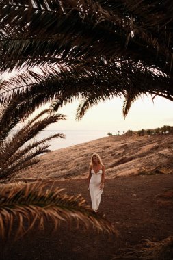 Güneşli sahil yürüyüşü macerası, beyaz giyinmiş zarif bir kadın palmiye ağaçlarının altında huzurlu kıyı yolu boyunca yürüyor.