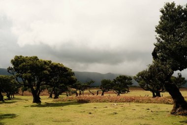 Bereketli kırsal bölgede kara bulutlar, öngörülen fırtına bulutları, rüzgarlı ve nemli atmosferle geniş kırsal bölgeleri kaplıyor.