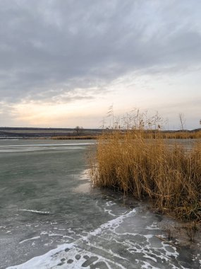 Donmuş bataklık gün doğumu altın sazlıklar sığ sularda ince buz kalıpları, düşük bulutlu gökyüzü, sessiz pastel ışık, uzak köprü