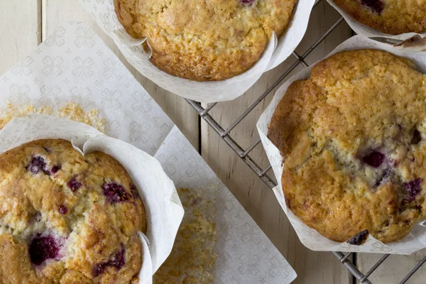 Muffins de frambuesa de arriba en rack — Foto de Stock