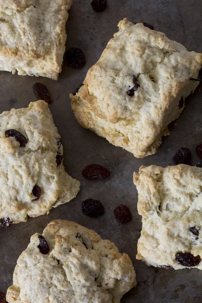 Sultana çörekler bir tepsi