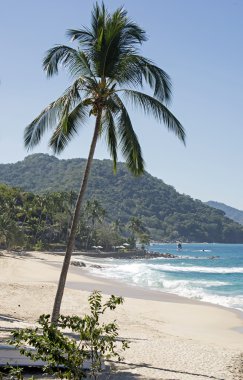  Banderas Körfezi sakin beach
