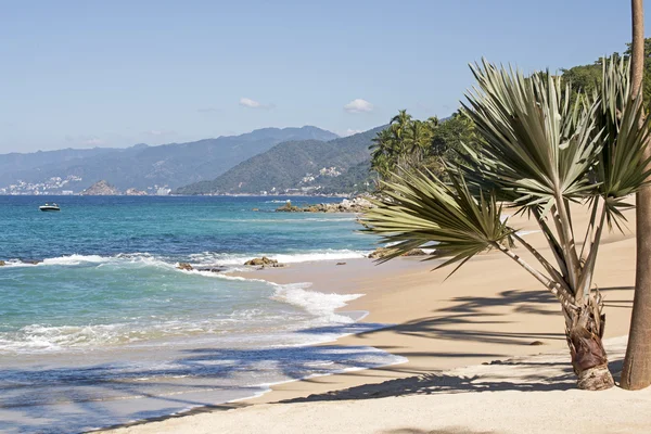 Puerto Vallarta çevre Beach