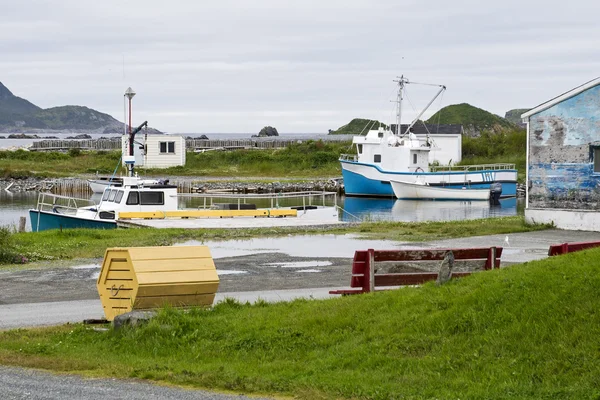 Small boat harbor in Newfoundland — Stock Photo, Image