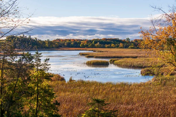 Höstsjöscen Östra Ontario Kanada — Stockfoto