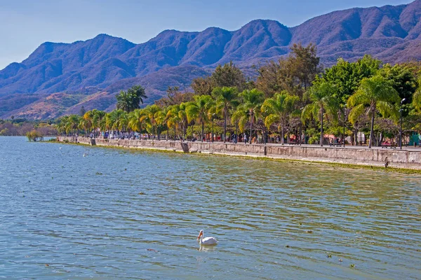 Tree lined shore walkway in Ajijic, Mexico