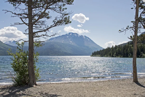 Lago panoramico nel territorio dello Yukon — Foto Stock