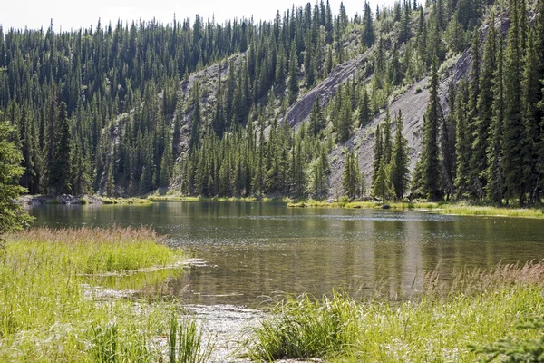 Lago en el desierto de Alaska — Foto de Stock