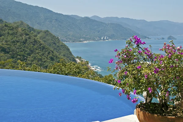 Infinity pool nestled by the Pacific Ocean coast — Stock Photo, Image