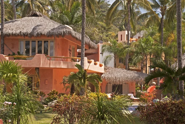 Pasifik tarafından konut mimarisi