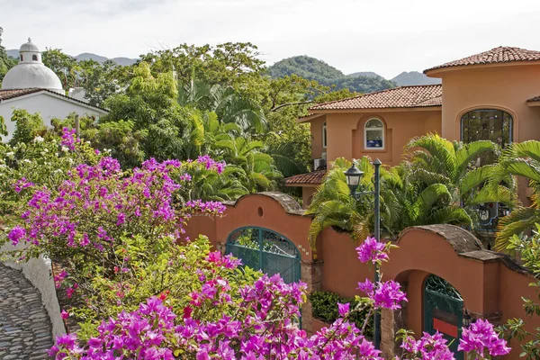 Residences in the hills of Puerto Vallarta — Stock Photo, Image