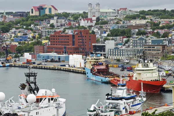  St Johns liman ve şehir görünümünü
